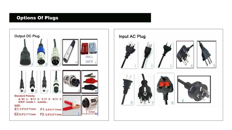 golf cart lithium battery 7.png